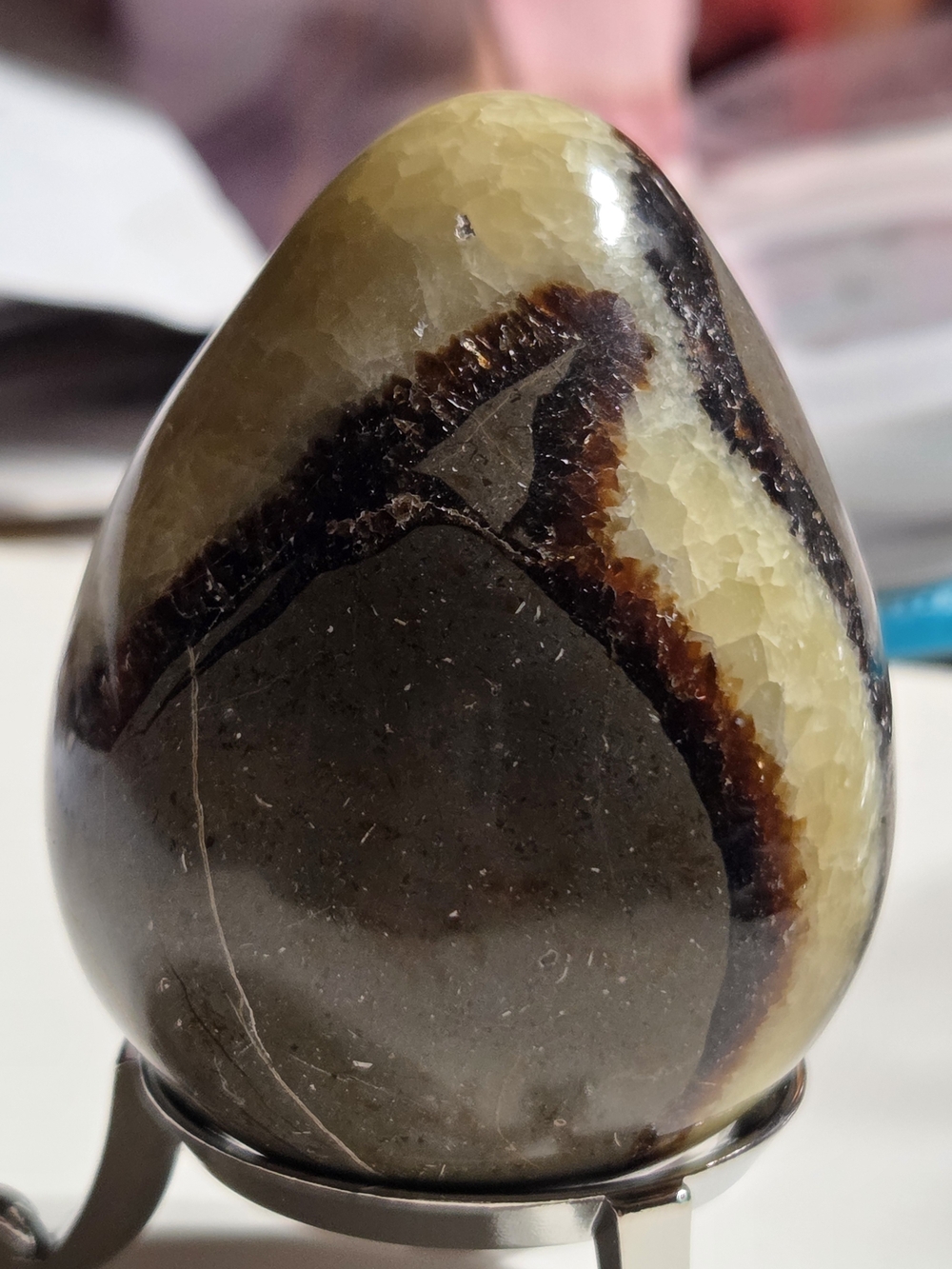 Polished Septarian Calcite "Dragon Stone" Egg - Picture 9 of 14